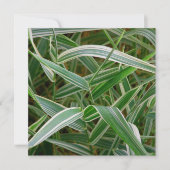 Invitation Herbe d'araignée plante rayé assez vert et blanc (Devant)