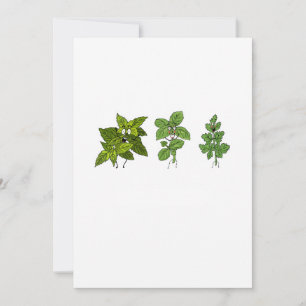 Invitation Herbes, thème herbes