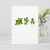 Invitation Herbes, thème herbes (Debout devant)