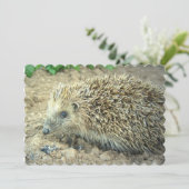 Invitation Hérisson (Debout devant)