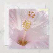 Invitation Hibiscus rose clair (Dos)