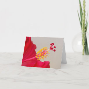 Invitation Hibiscus rouge fermeture du Pistil et du Stamen