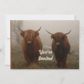 Invitation Highland Cattle Fog Photo Anniversaire (Devant)