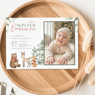Invitation Hiver Pays-Bas Animal Enfant Photo 1er Anniversair