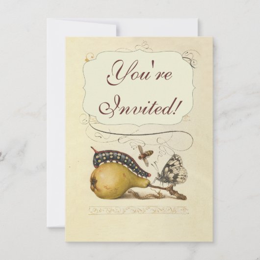 Invitation Hoefnagel Vintage Poire & Insectes 1500 Renaissanc (Devant)
