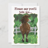 Invitation Horaire de la fête Appaloosa Horse (Devant)