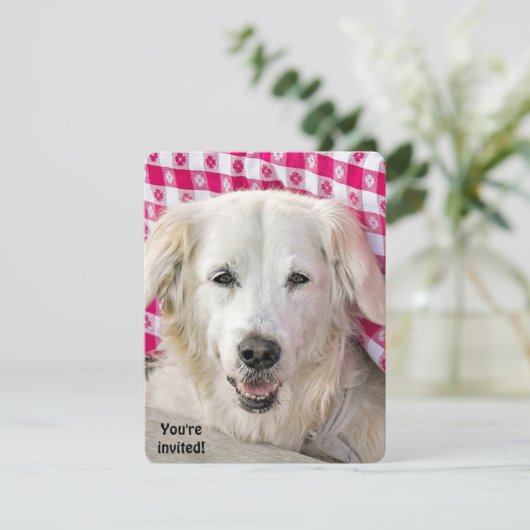 Invitation Hot Dog Fry (Debout devant)