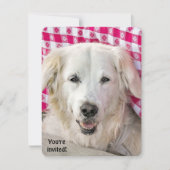 Invitation Hot Dog Fry (Devant)