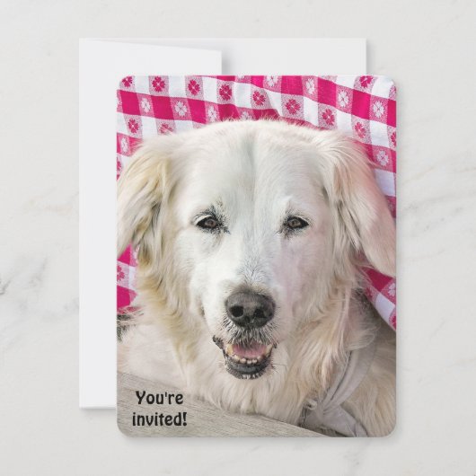 Invitation Hot Dog Fry (Devant)