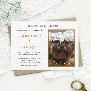 Invitation Humains Se Marier Personnalisé Animaux Mariages Ph