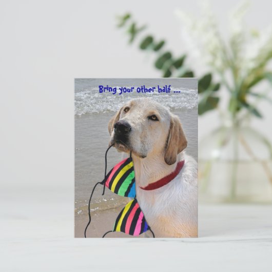 Invitation Humour de la fête du pool (Debout devant)