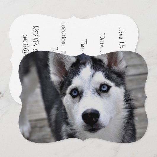 Invitation Husky de Sibérie (Devant / Derrière)