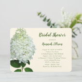Invitation Hydrangea Limelight Grande Fleur Enterrement de Vi (Debout devant)