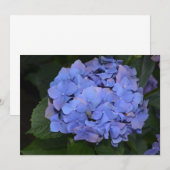 Invitation Hydrangea macrophylla Rustique Violet (Devant / Derrière)