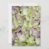 Invitation Hydrangea Presque Rose Après-Mariage Brunch (Dos)