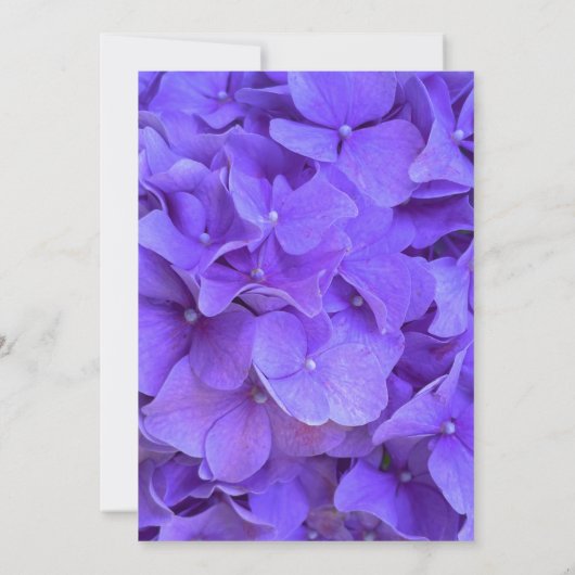 Invitation Hydrangeas Lavender lilas (Dos)