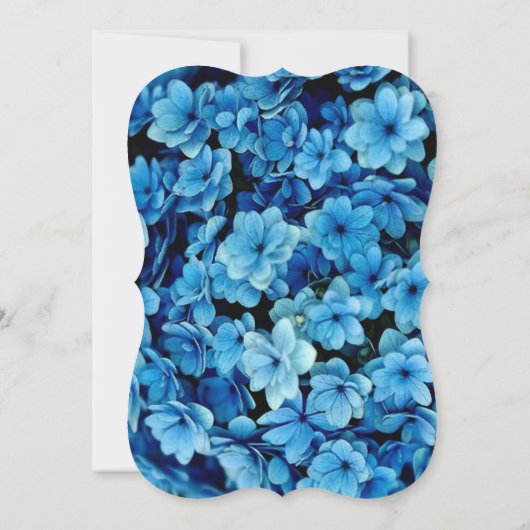 Invitation Hydrangée bleue Fleurs aquarelles Confirmation i (Dos)