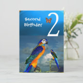 Invitation HYPER PARROTS / Deuxième fête d'anniversaire Turqu (Debout devant)