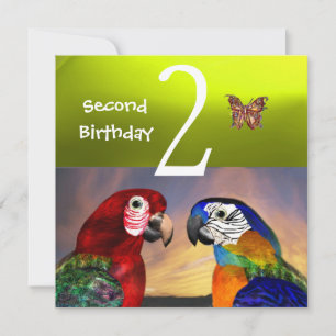 Invitation HYPER PARROTS / Fête du deuxième anniversaire, Jau