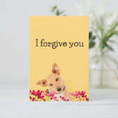 Invitation i forgive you flower dog (Debout devant)
