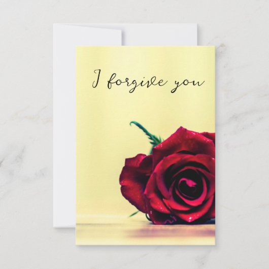 Invitation i forgive you sky horse (Devant)