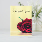 Invitation i forgive you sky horse (Debout devant)