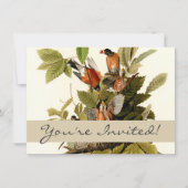 Invitation Illustration Audubon American Robin Wildlife Bird (Devant)