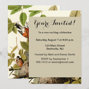 Invitation Illustration Audubon American Robin Wildlife Bird