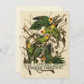 Invitation Illustration Audubon Carolina Parrot Bird (Devant / Derrière)