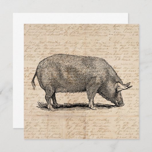 Invitation Illustration de cochon Style de papier de script d (Devant / Derrière)