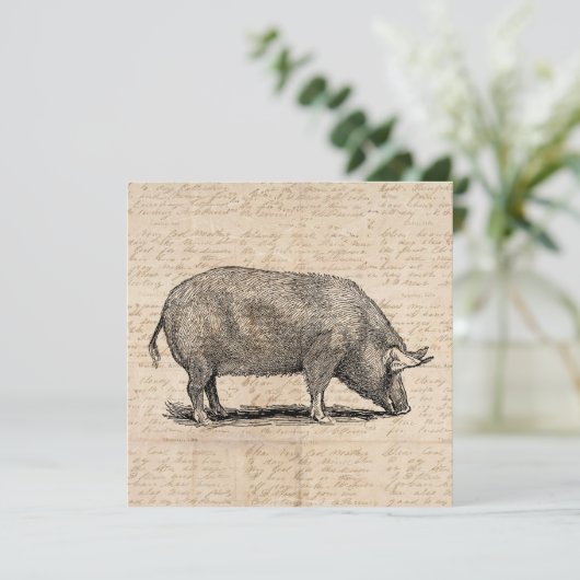 Invitation Illustration de cochon Style de papier de script d (Debout devant)