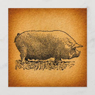 Invitation Illustration de l'art antique du cochon à l'occide