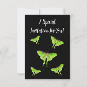Invitation Illustration de Luna Moth (Dos)