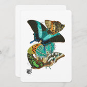 Invitation Illustration des papillons Vintages E.A. Séguy (Devant / Derrière)