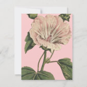 Invitation Illustration vintage (Dos)