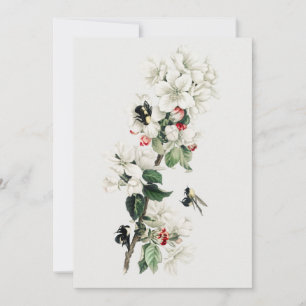 Invitation Illustration vintage Apple Blossom