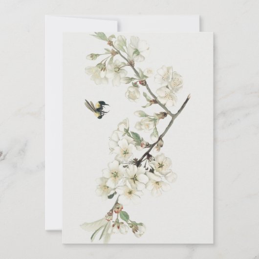 Invitation Illustration vintage de fleurs de pommier (Devant)