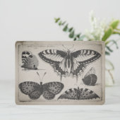 Invitation Illustration vintage de papillon de machaon (60) (Debout devant)