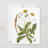 Invitation Illustration vintage du Dandelion (Dos)