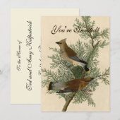 Invitation Impression d'oiseau de John James Audubon Jaseur b (Devant / Derrière)