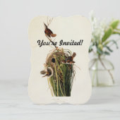 Invitation Impression d'oiseau de John James Audubon Troglody (Debout devant)