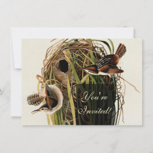 Invitation Impression d'oiseau Troglodyte des marais de John