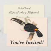 Invitation Impression du Toucan de Cuvier : Oiseau Tropical V (Devant / Derrière)