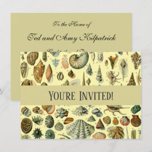 Invitation Impression vintage de coquillages d'Adolphe Millot