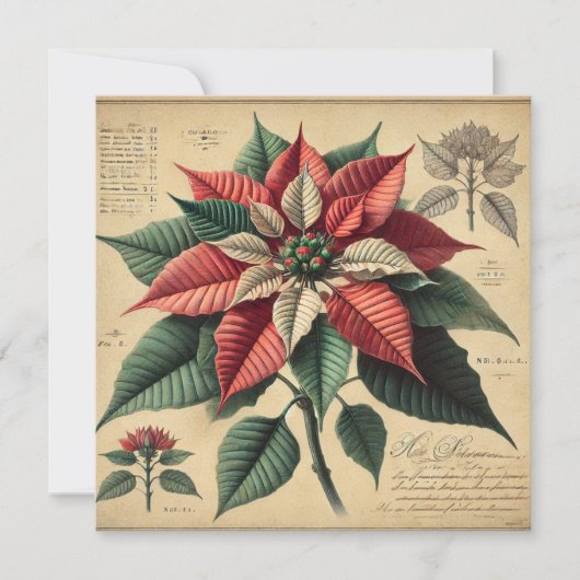 Invitation Imprimable Retro Poinsettia Botanique Scrapbook (Devant)