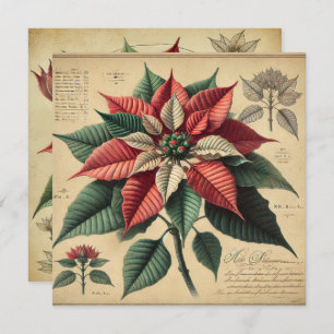 Invitation Imprimable Retro Poinsettia Botanique Scrapbook