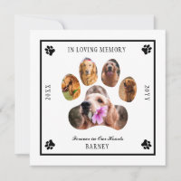 In Love Memory Photo Pet Memorial - Blanc Noir