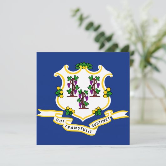 Invitation Indicateur d'état Connecticut (Debout devant)