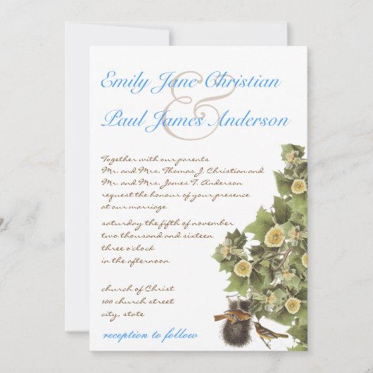 Invitation Inséparables Nesting Aqua Blue Font Mariage (Devant)