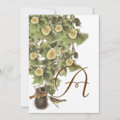 Invitation Inséparables Nesting Aqua Blue Font Mariage (Dos)